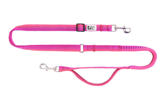 RC - Laisse Active Bungee pour chien RC Pet