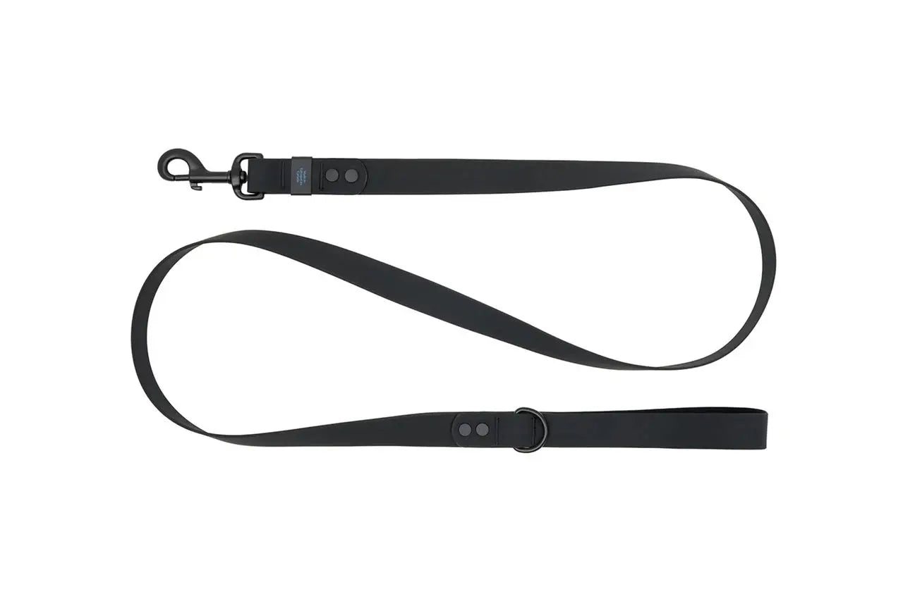RC - Laisse Imperméable pour chien