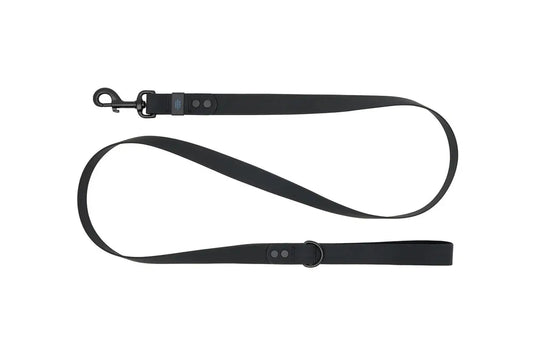 RC - Laisse Imperméable pour chien