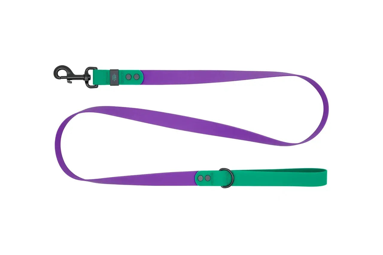 RC - Laisse Imperméable pour chien