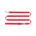 Load image into Gallery viewer, RC - Laisse Primary 1 x 6 - Couleurs Variés RC Pet
