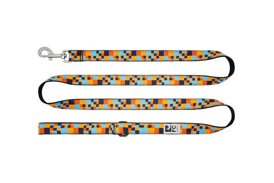 RC - Laisse pour chien 3/4 x 6 - Couleurs variés RC Pet