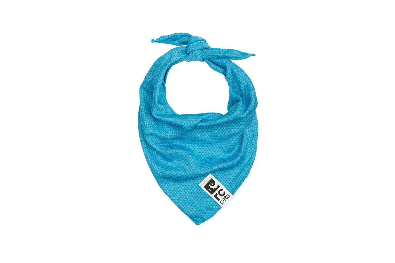 RC Pets - Bandana rafraîchissant Zephyr Cooling pour animaux