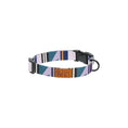Load image into Gallery viewer, RC Pets - Collier Éco pour chien RC Pet
