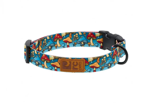 RC Pets - Collier Eco pour chien