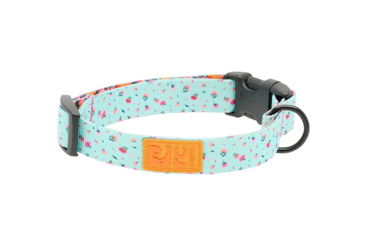 RC Pets - Collier Eco pour chien