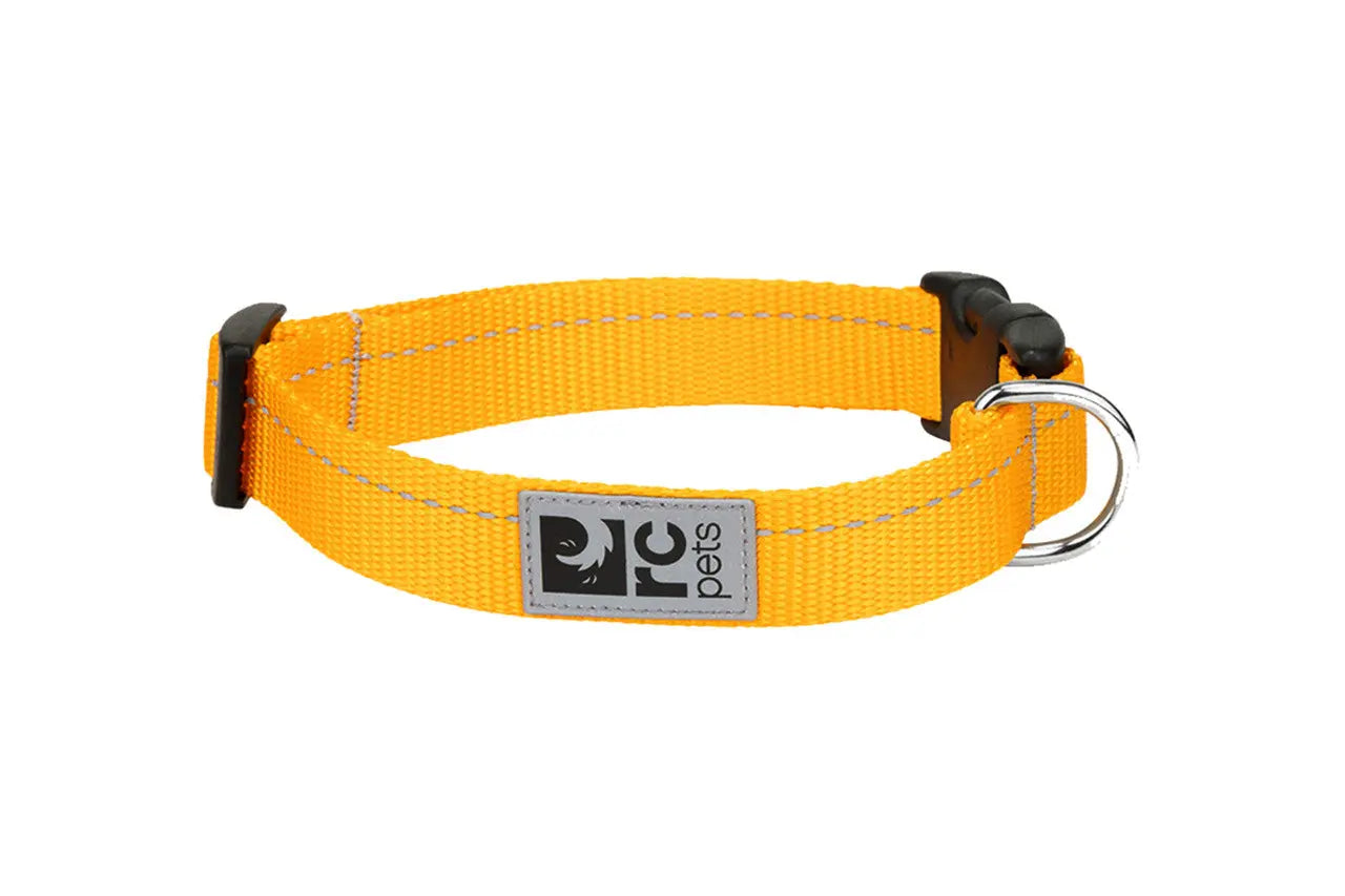 RC Pets - Collier pour chien 1 RC Pet