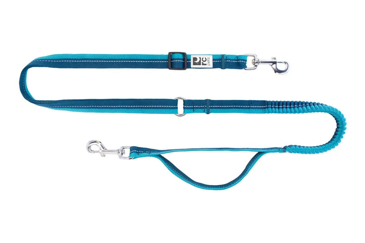 RC - Active Bungee Dog Leash