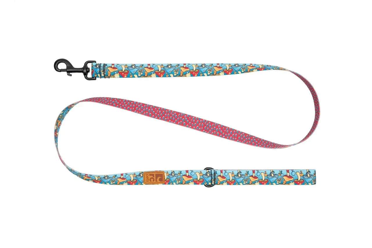 RC Pets - Laisse Eco pour chien
