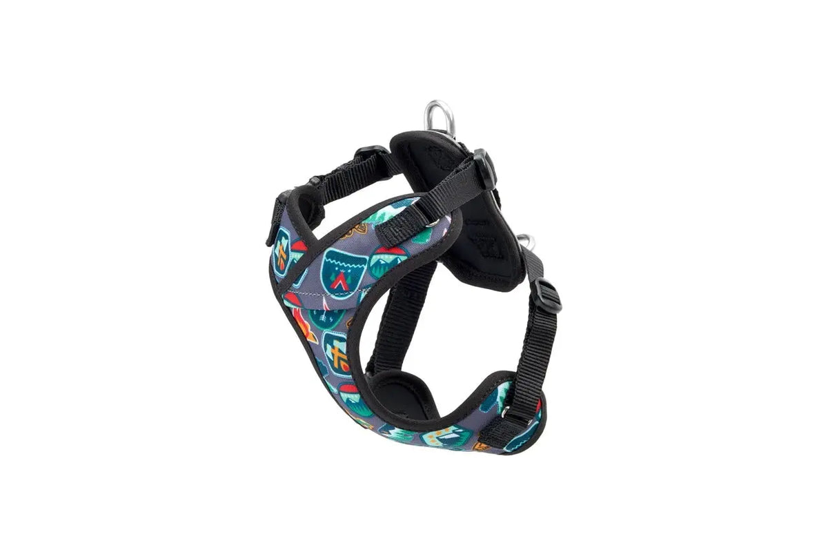 RC Pets - Petit Harnais Explorateur pour chien