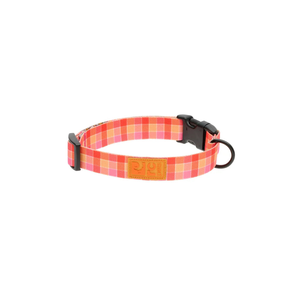 RC Pets - Collier Éco pour chien