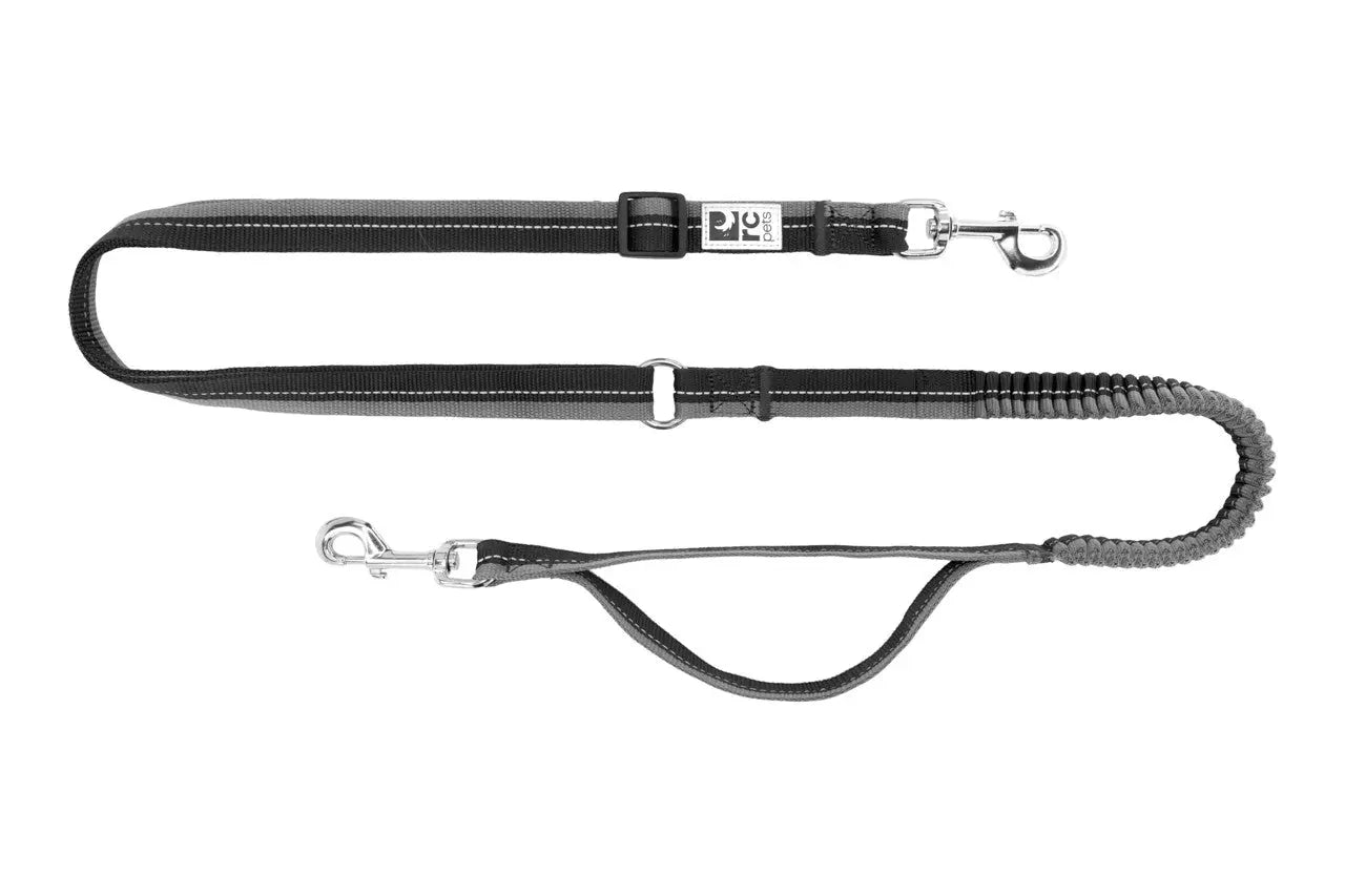 Rc Pets - Laisse Active Bungee pour chien Noir RC Pet