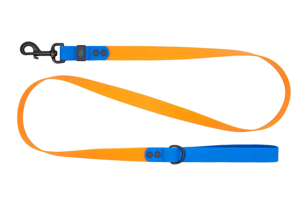 Rc Pets - Laisse Imperméable pour chien - Variétés de Modèles et Grandeur RC Pet
