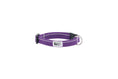 Load image into Gallery viewer, Rc Pets - Petit Collier Chien de Base 1/2 - Variétés de Couleur et Grandeur RC Pet
