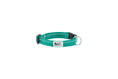 Load image into Gallery viewer, Rc Pets - Petit Collier Chien de Base 1/2 - Variétés de Couleur et Grandeur RC Pet
