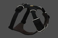 Load image into Gallery viewer, Ruffwear - Harnais Front Range Ruffwear
