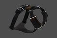 Load image into Gallery viewer, Ruffwear - Harnais Front Range Ruffwear
