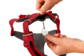 Load image into Gallery viewer, Ruffwear - Harnais Front Range Ruffwear
