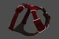 Load image into Gallery viewer, Ruffwear - Harnais Front Range Ruffwear
