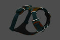 Load image into Gallery viewer, Ruffwear - Harnais Front Range Ruffwear
