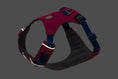 Charger l'image dans la visionneuse de la galerie, Ruffwear - Harnais Hi & Light Ruffwear
