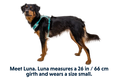 Charger l'image dans la visionneuse de la galerie, Ruffwear - Harnais Hi & Light Ruffwear
