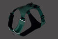 Charger l'image dans la visionneuse de la galerie, Ruffwear - Harnais Hi & Light Ruffwear
