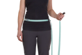 Load image into Gallery viewer, Ruffwear - Laisse Flagline pour Chien Ruffwear
