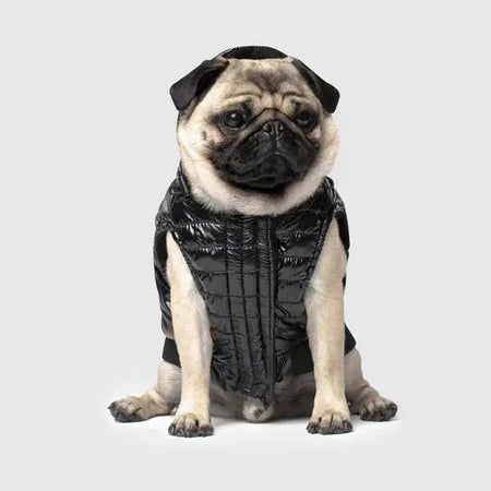 Canada Pooch Shiny Puffer - Noir - 20 Canada Pooch