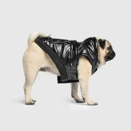 Canada Pooch Shiny Puffer - Noir - 20 Canada Pooch