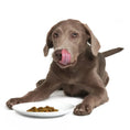 Charger l'image dans la visionneuse de la galerie, Smack - Poulet aux Baies Smack Pet Food
