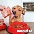 Load image into Gallery viewer, Stella & Chewy - Ragoût - 11oz Stella & Chewy
