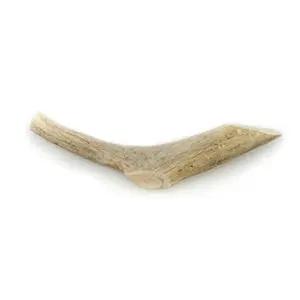 This & That - Whole Antler mastications en bois pour chiens This & That Canine