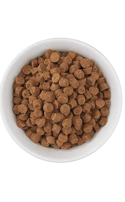 Tiki Cat - Nourriture riche en proteine Born Carnivore pour chats