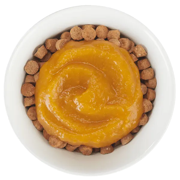 Tiki Dog - Complément alimentaire sans céréales pour chiens