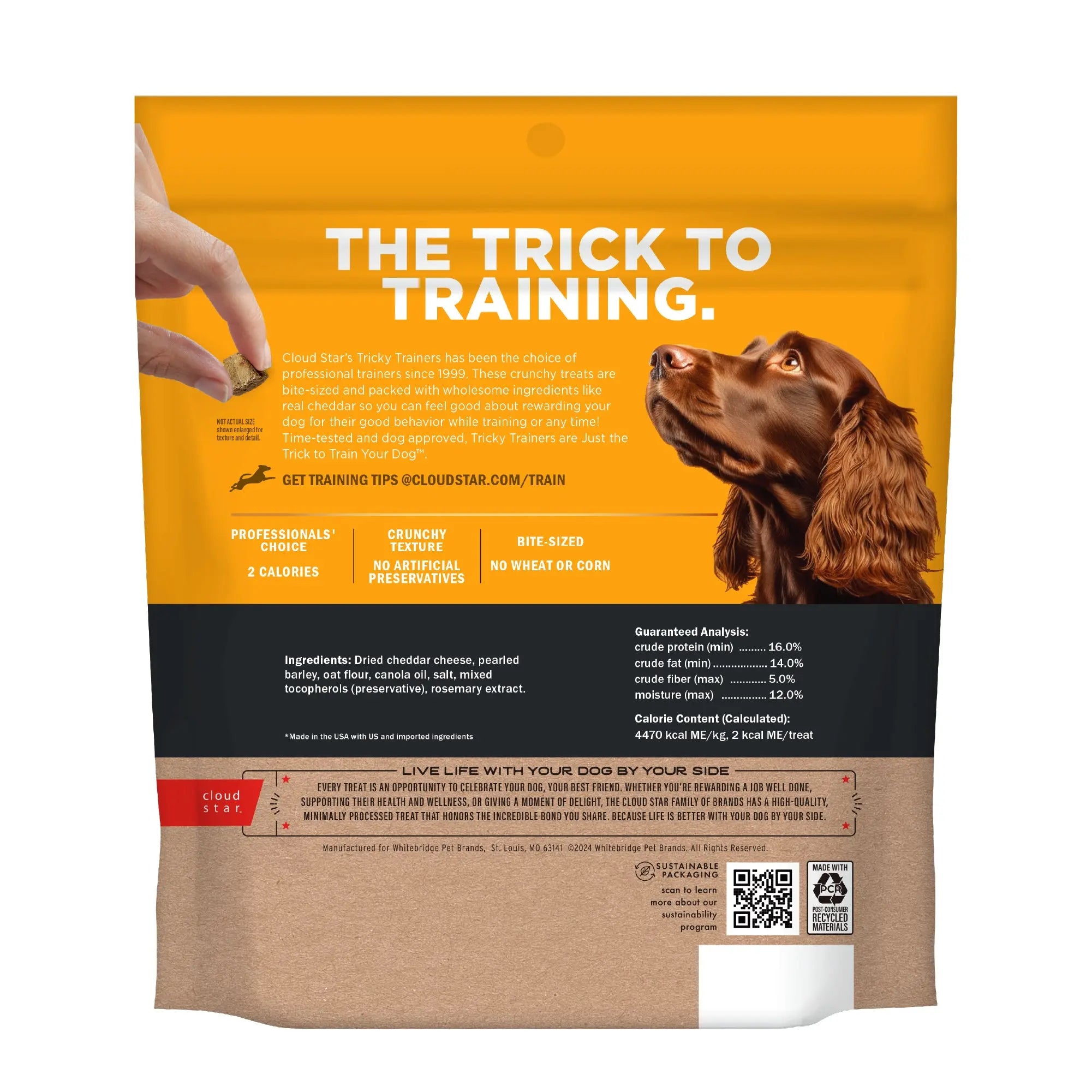 Tricky Trainer - Friandises croquantes pour chien 227g Cloud Star