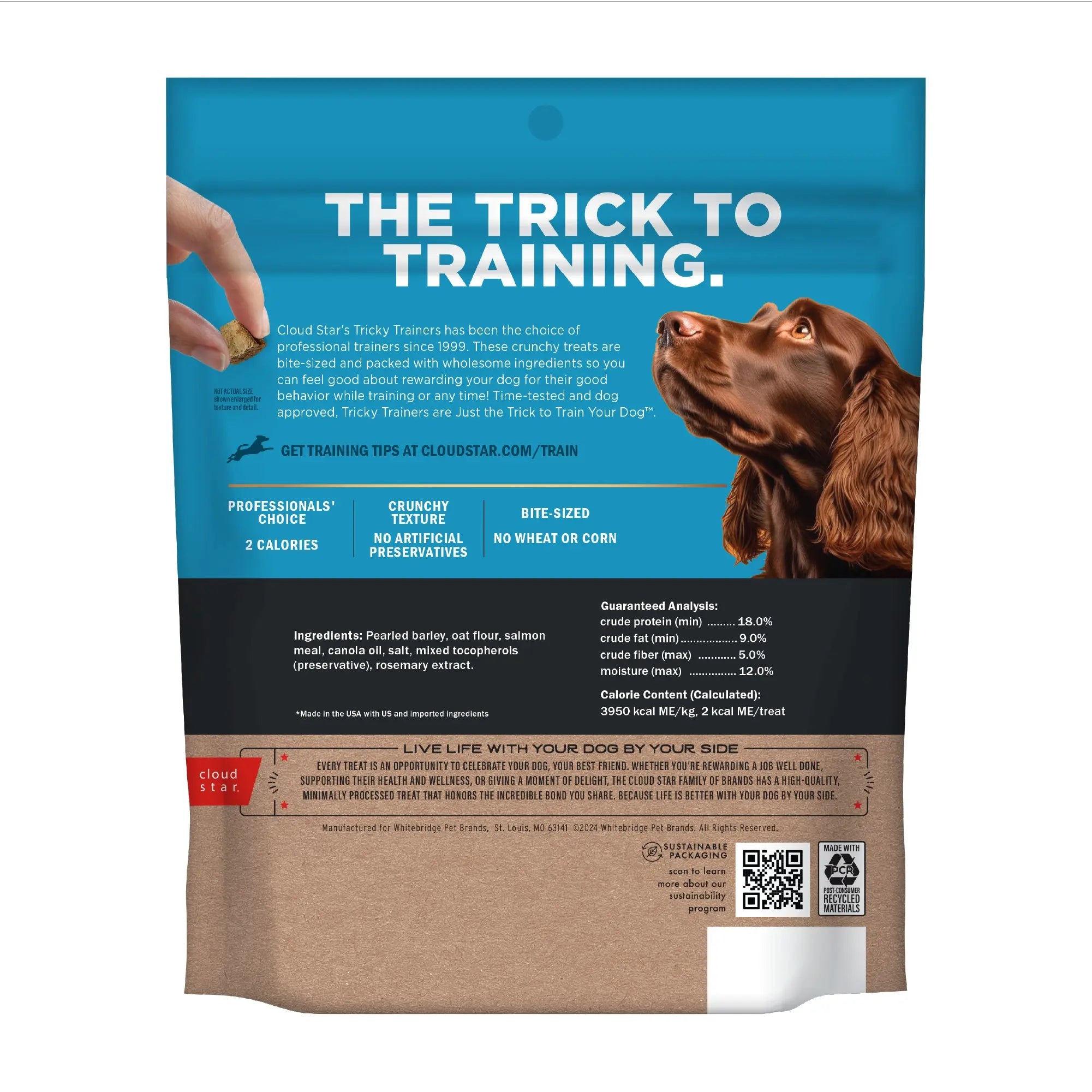 Tricky Trainer - Friandises croquantes pour chiens Cloud Star