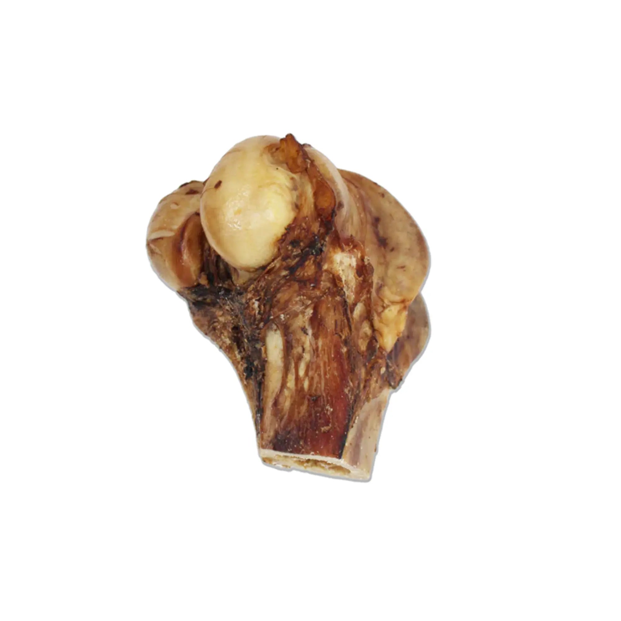 Vrac Rosy & Budd JT - Rotule de boeuf pour chien (1/2)