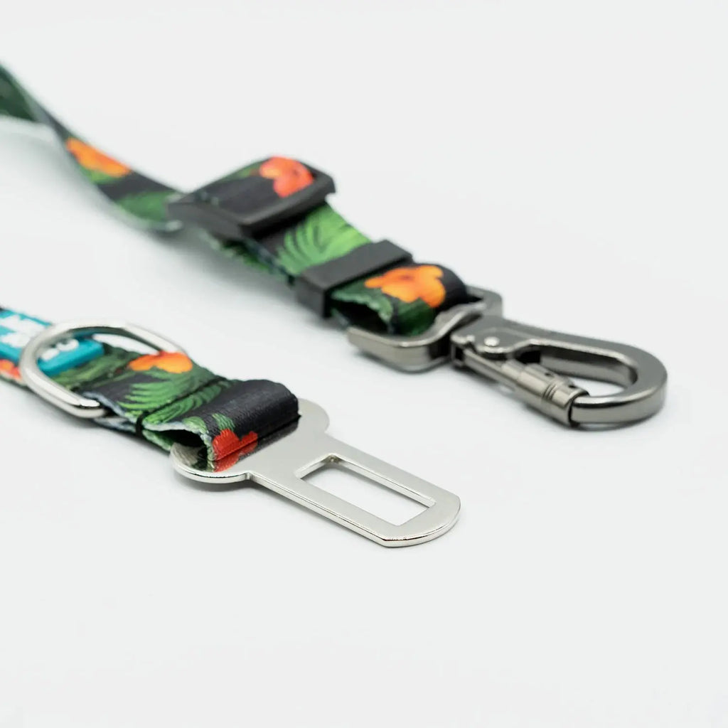 WC - Ceinture pour Voiture Ikonic - Collection complète Woof Concept