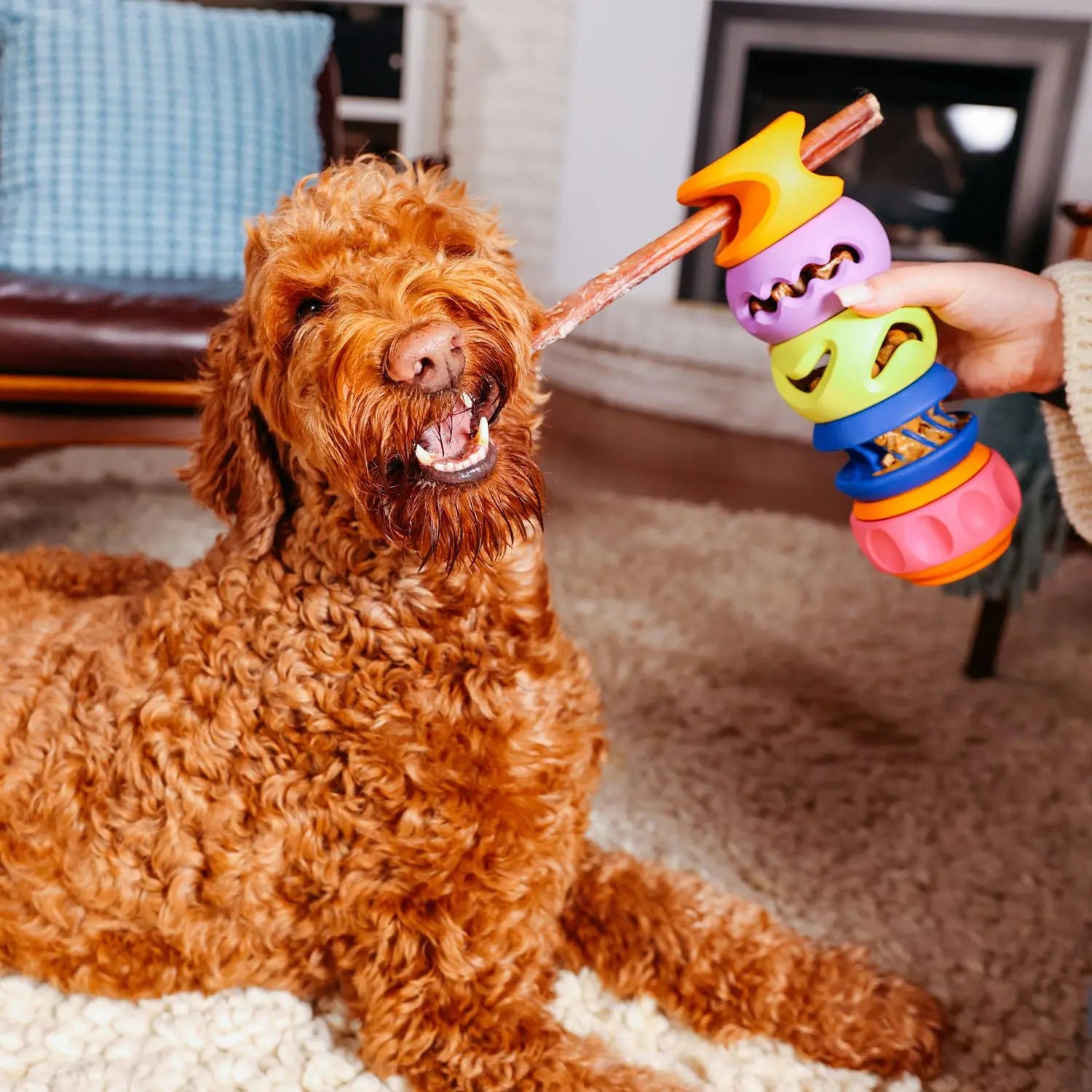 WagLab - Jouet personnalisable Play Stack pour chiens