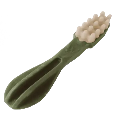Whimzees - Brushzees Brosse à dent à mâcher pour chien Whimzees