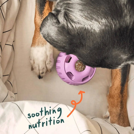 Woof - Des sucettes apaisantes et calmante pour chien Woof