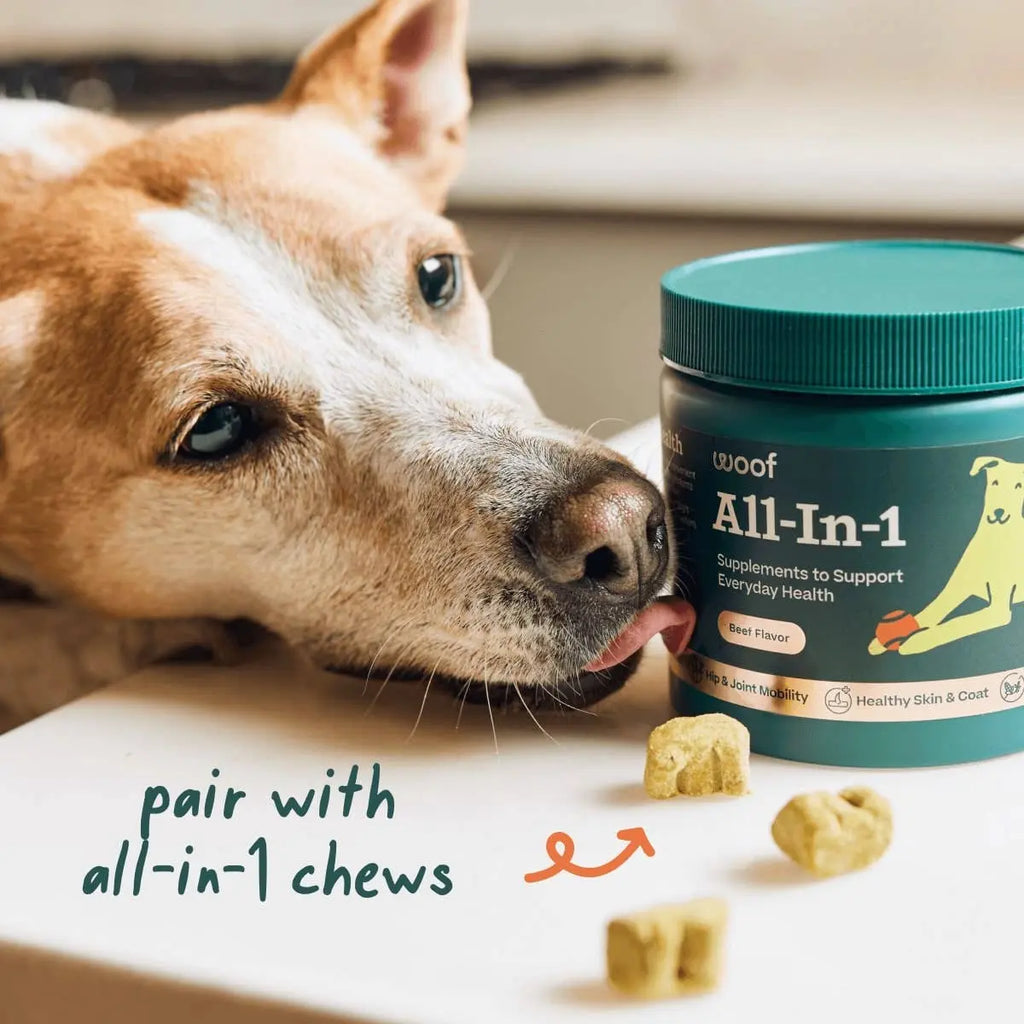 Woof - Pops de bien-être tout-en-un pour chien Woof