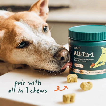 Woof - Pops de bien-être tout-en-un pour chien Woof