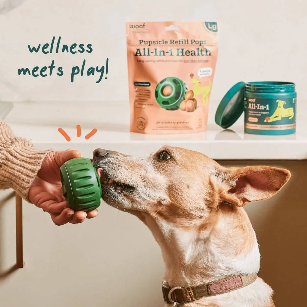 Woof - Pops de bien-être tout-en-un pour chien Woof