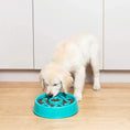 Load image into Gallery viewer, ZippyPaws Happy Bowl – Bol ralentisseur pour chien Zippy Paws
