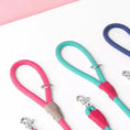 Charger l'image dans la visionneuse de la galerie, ZippyPaws Mod Essential Leash – laisse pour chien Zippy Paws
