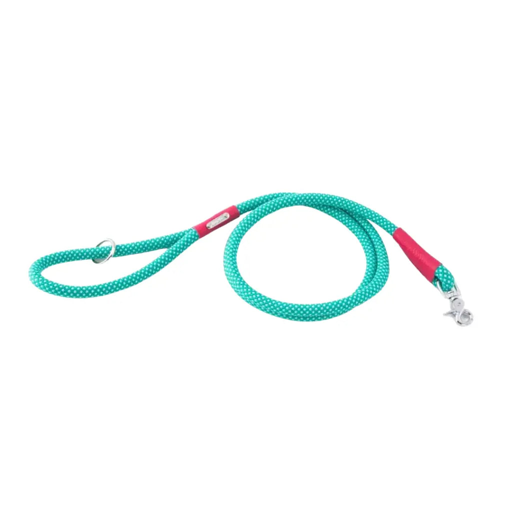ZippyPaws – laisse pour chien Zippy Paws