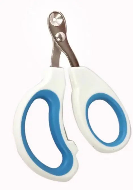 coupe ongle chat Livora