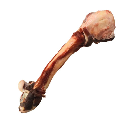 K9 Choice - Jambe de Kangourou - Kangarou Leg Bone K9 Choice